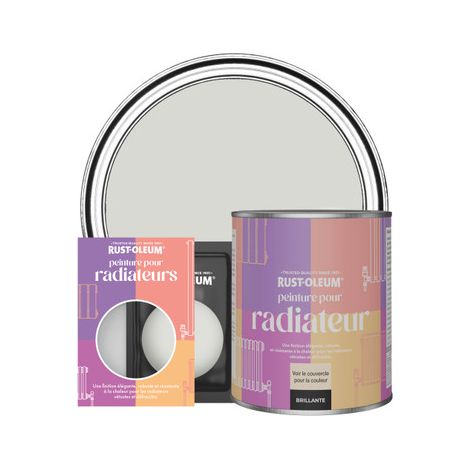 Peinture pour Radiateur, Finition Brillante - Gris d'Hiver (1/3)