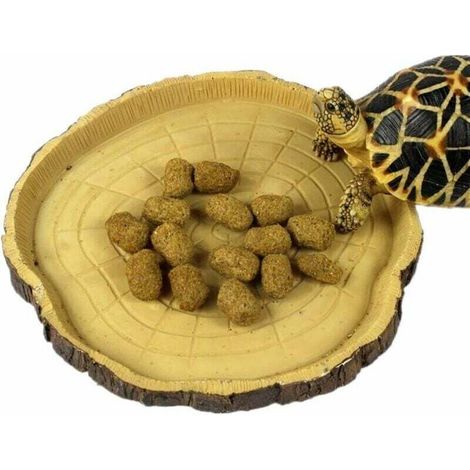 Petit bol pour reptiles : mangeoire, abreuvoir et gamelle pour reptiles, geckos, tortues et serpents. Accessoires pour terrarium (souche).