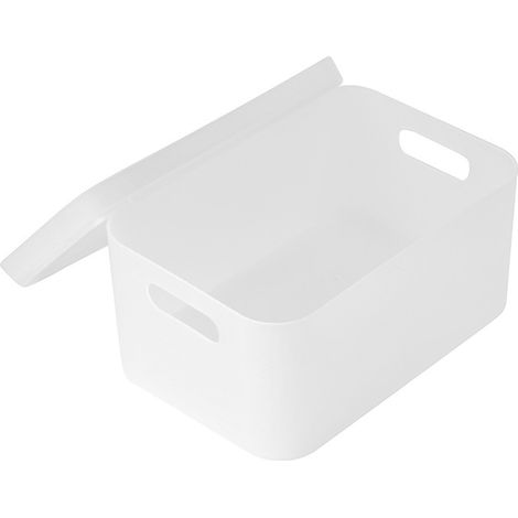Boîte de Rangement Cosmétiques - Plastique Givré Transparent avec Couvercle, Grande Taille, Design Minimaliste sans Compartiments (1/5)