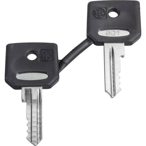 Schneider Electric ZBG421E ZBG421E Chiavi di ricambio 1 pz.