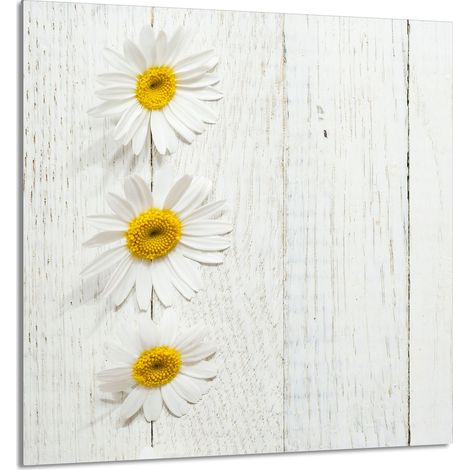 PANEL DE VIDRIO PARA COCINA 60x65 Madera (1/5)