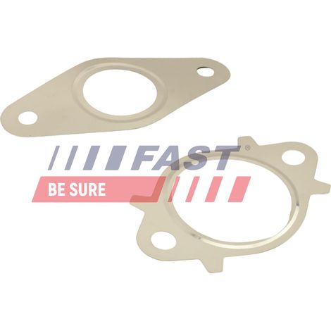 Kit guarnizioni valvola EGR rapida FT50611 (1/2)