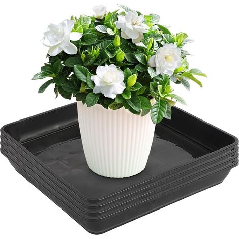 Lot de 4 soucoupes pour pot de fleurs : 30 x 30 cm - Soucoupe carrée - En plastique - Accessoire pour plantes d'extérieur et d'intérieur - Noir (1/5)