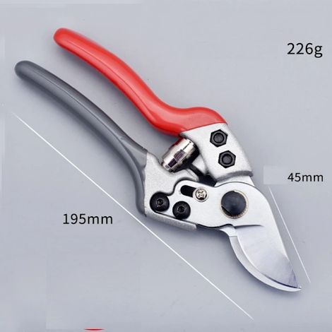 Filiyano-/EA/ Cisailles de jardin en acier inoxydable pour arbres fruitiers (rouge, gris et blanc)
