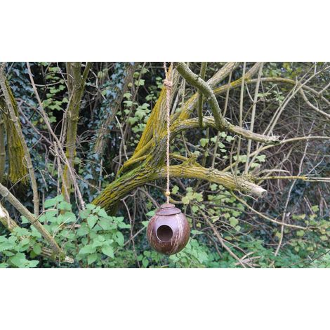 Coir Cradle Bird Nest - Coconut Shell - L25 x W25 x H12 cm