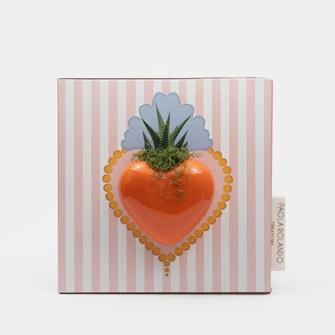 Bomboniera pianta grassa vera in vaso cuore ceramica Cuoricino Strisce - Rosa