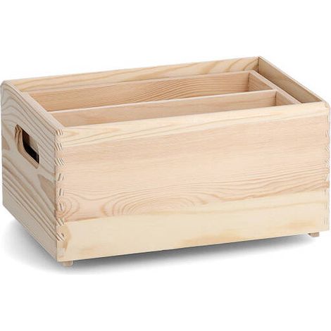 Aufbewahrungsbox mit herausnehmbaren Fächern, 30 x 20 x 15 cm