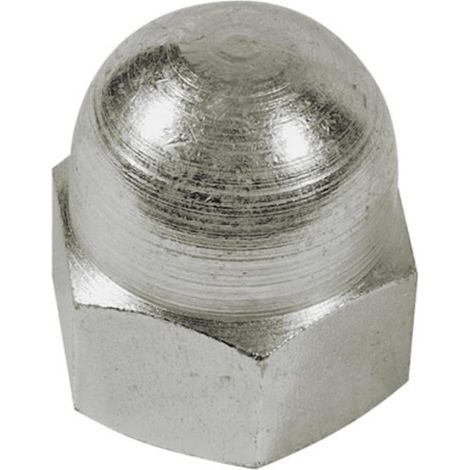 25 Ecrous Borgnes M20 mm - DIN 1587 - UNI 5721 - Inox A2 - D-Work