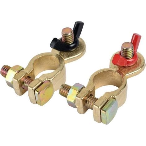 Cosses de Batterie 12V/24V avec Écrou à Oreilles, Bornes de Libération Rapide, Connecteurs (1/3)