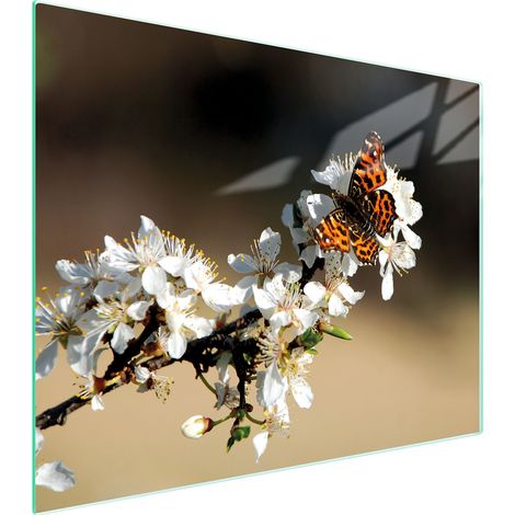 Glasschneidebrett 52x40 Pflaume (1/5)
