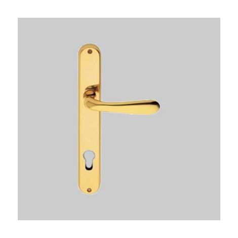Maniglia goccia con placca foro yale oro lucido