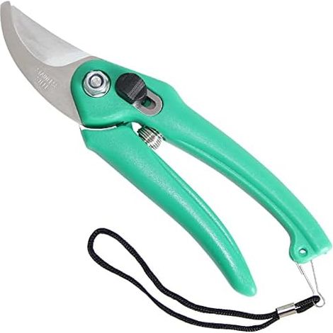 Sécateur de jardin ergonomique en acier inoxydable - Vert