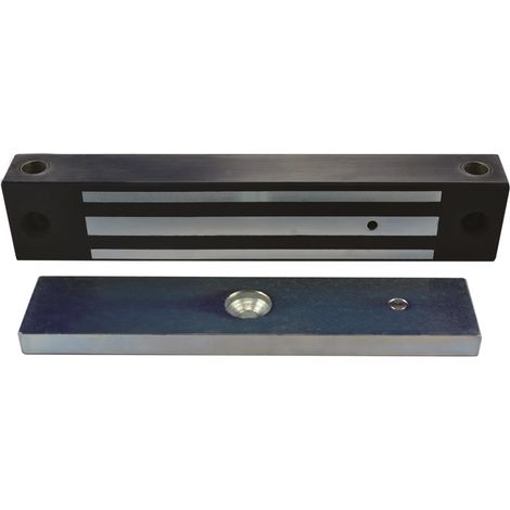 Ventouse EM applique IP 67 acier inox 600 lbs 12/24V DC Contact Hall (1/3)