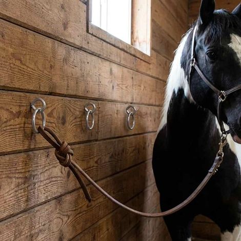 Anneaux d'attache pour chevaux avec vis à œillet, 3 pièces, acier argenté