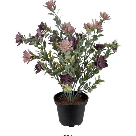 Succulente fleurie factice en pot cactée Violet H30cm D25cm plastique