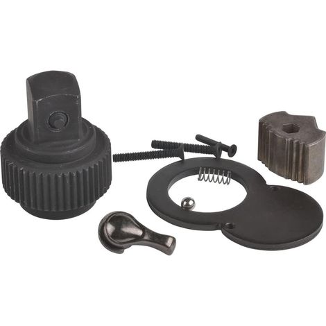 SW-Stahl 03816L-REP Reparatursatz Ratschenmechanismus 3/4 Zoll I Ratschen-Reparatur Set für Drehmomentschlüssel 03816L, 03817L, 03876L und 03877L I Reparatur-Satz für Knarrenkopf