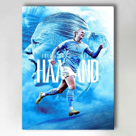 Toile / Peinture - Haaland - 40x30 cm - Toile (1/4)