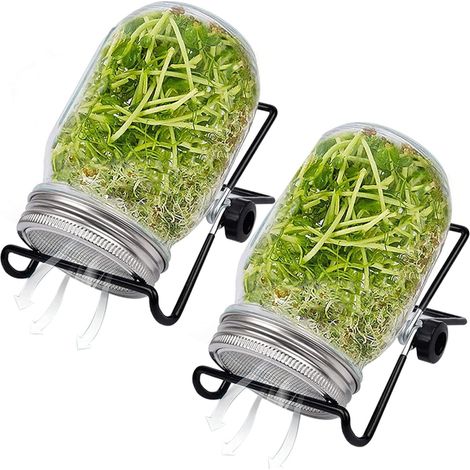 Kit de germinación doméstica (comprende 2 depósitos de germinación de gran apertura de 473 ml, 2 cubiertas en filete, 2 soportes regulables) transparente (1/5)