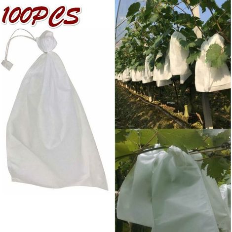 Lot de 100 sacs à raisins à cordon coulissant, sacs de protection pour fruits, sacs en filet anti-insectes (1/4)