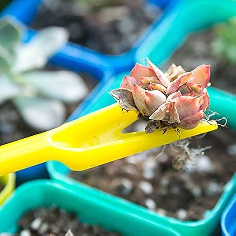 Ensemble de Petits Planteurs de Graines, Transplanteur de Semis (1/5)