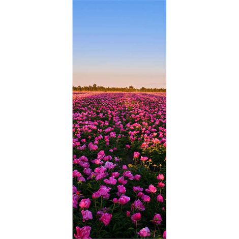 Panneau mural douche en alu-composite VIPANEL - Inspiration Nature Décor Pivoines - Finition Brillant - 100x255cm (1/5)