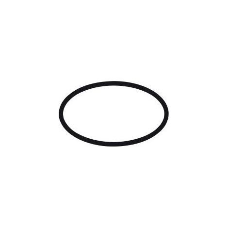 hansgrohe O-Ring 44x4mm, 98471000
