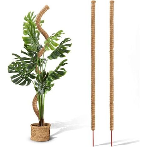 2 supporti flessibili in fibra di cocco da 122 cm (48 pollici) per guidare la crescita delle piante verso l'alto, ideali per sostenere piante in vaso e tralicci. (1/5)
