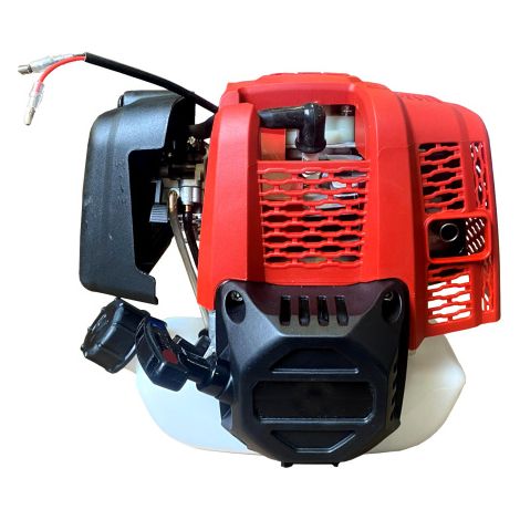 Benzinmotor Ersatzmotor 4-Takt 0,8KW Motor für Freischneider uvm. (1/5)