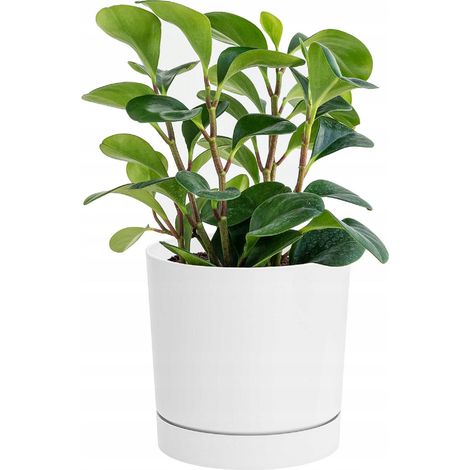 DPOP350-S449 Blumentopfabdeckung mit Ständer und Abflussrohr, weiß (1/4)