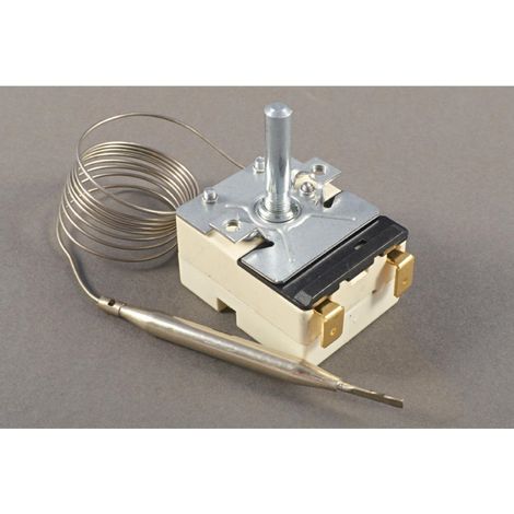 Thermostat (N116) - Buffalo