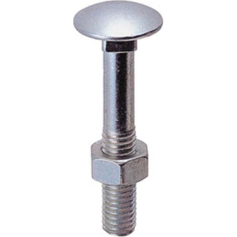 BS BULLONE C/DADO TTDQ 12X120MM ZINCATO 4 PZ