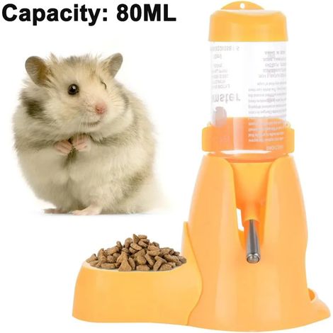 Bouteille d'eau pour hamster avec bol Bouteille d'eau idéale pour les petits animaux rongeurs, chinchilla, lapin, rat, furet (1/4)