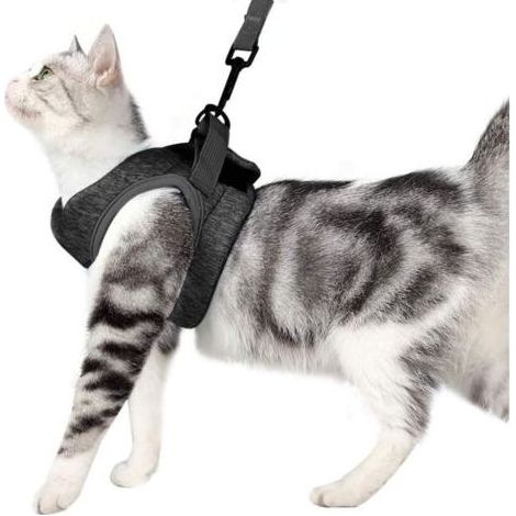 Harnais Pour Chat - Ultraléger Moins De 60 G - Ajustable Tour De Poitrine 23 À 28 Cm - Anti-fuites - Pour Chatons Chiots Et Lapins - Taille S (1/4)