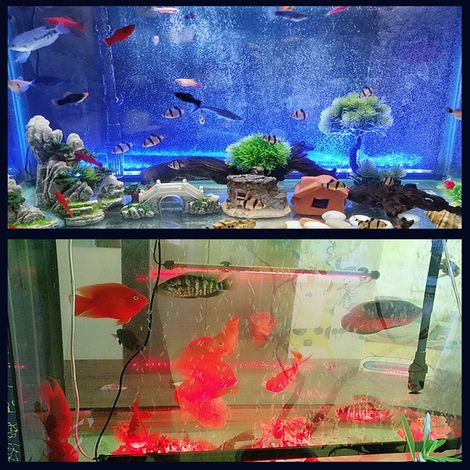 Bande lumineuse LED multicolore multifonctionnelle à bulles pour aquarium (DB-40) (1/5)