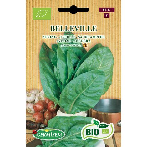 Graines Oseille BELLEVILLE (1/3)