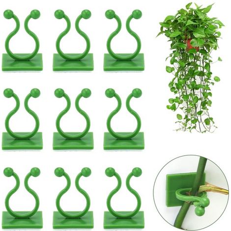 100 Pflanzenclips Befestigungsclips für Kletterwände selbstklebende Pflanzenhaken unsichtbare Halterung für Kletterpflanzen für Kletterpflanzen i (1/5)
