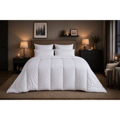 Couette Chaude 400 g/m² Microfibre Anti-Acariens 200 x 200 cm Blanc (1/5)