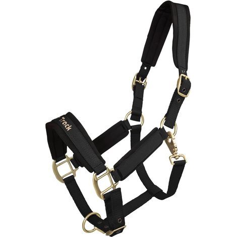 1 Licol Cheval Matériau Welltex Taille Cob Usage Équitation (1/4)