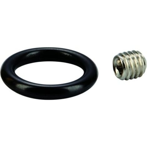 Grohe Gewindestift M6x6 für Kopfbrausen, 45665000 (1/2)