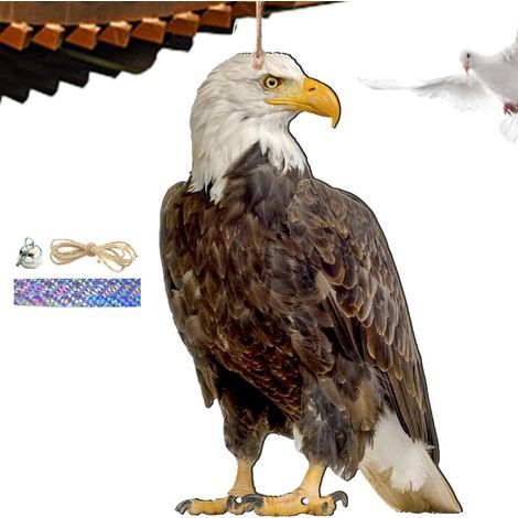 Zur Vogelabwehr Für Den Außenbereich Dekorativer 2D Eulen (1/5)