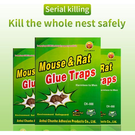 Piège à Souris Pièges à Rats, 10 Plaques Collantes Souris, Plaques de glu Anti Souris Anti Rat - Grande Taille 31.521cm (1/4)