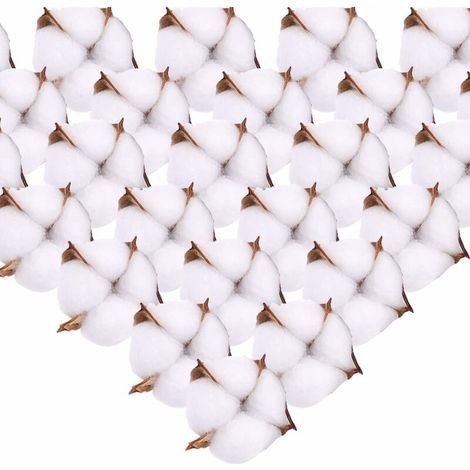 VURAHOME -Fleur de Coton Naturelle Tête de Fleurs Séchées Coton Decoration Blanc ave Tige Courte pour Hiver Noël DIY Mariage Couronne Artisanat Maison Cadeau Style Ferme 6.5cm 50Pcs (1/5)