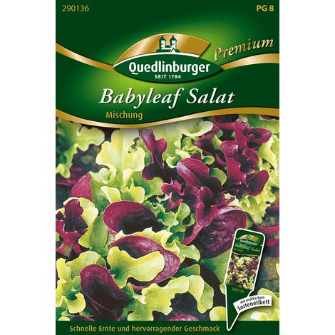 Quedlinburger Saatgut – Mélange de salades baby leaf – Graines de légumes, laitues à couper, pour env. 250 plants (1/2)