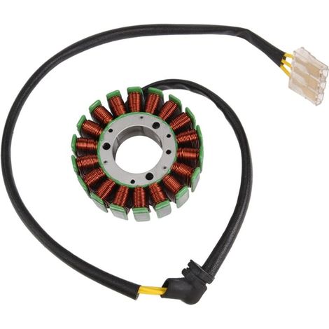 Stator GéNéRateur Bobine Moto Fournitures pour 390 (1/4)