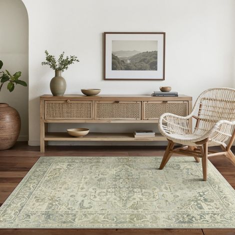 Tapis Salon Vintage 120x170cm Lavable en Machine Rug AntidéRapant Poil Ras, pour Chambre Salle a Manger Descente de Lit Bureau, Cuisine, Sauge et Ivoire (1/5)