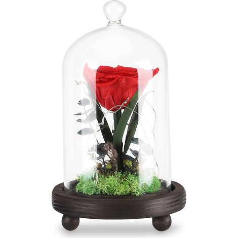 Rose éternelle lumineuse à LED avec couvercle en verre et socle en bois - Cadeau idéal pour la Saint-Valentin ou un mariage (1/5)
