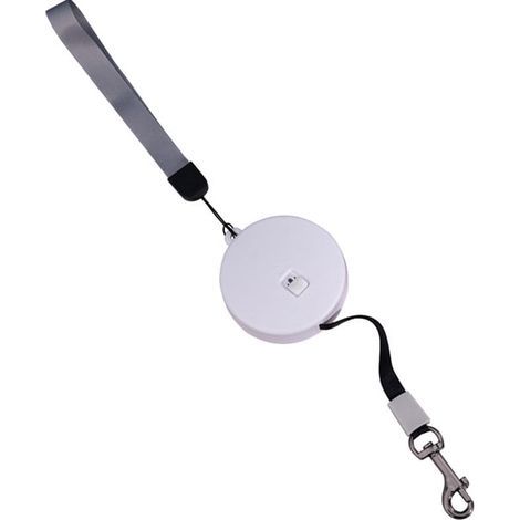 Laisse rétractable de 2 mètres pour animaux de compagnie, mini-laisse de marche extérieure, accessoire pour chiens et chats (1/4)