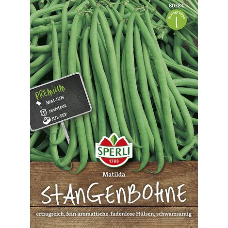 Sperli – Haricot à rames Matilda (Phaseolus vulgaris) – Graines de légumes, sans fil (1/2)
