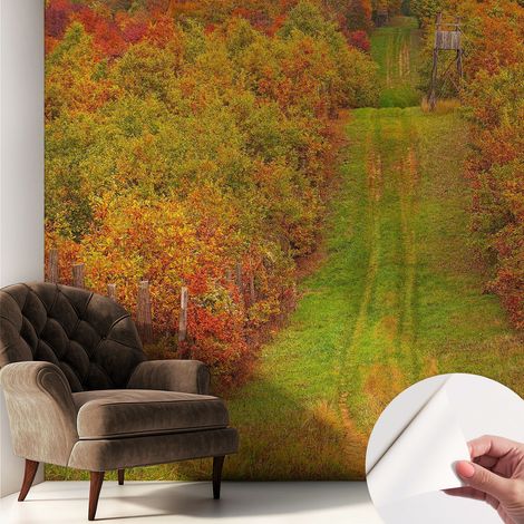 Fotomurale adesivo stickers - per camera da letto - per corridoio - decorazione casa moderna Colori autunnali 250x250 cm (1/5)