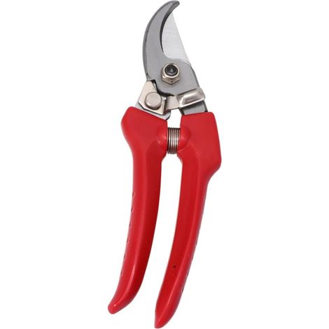 2 Ensembles Outil de Composition Inoxydable râteau à Fleurs Suppression Brosse dissolvante Outil Anti-Mousse extracteur d'épines pour Roses Petit râteau de Jardin en Bois (1/5)